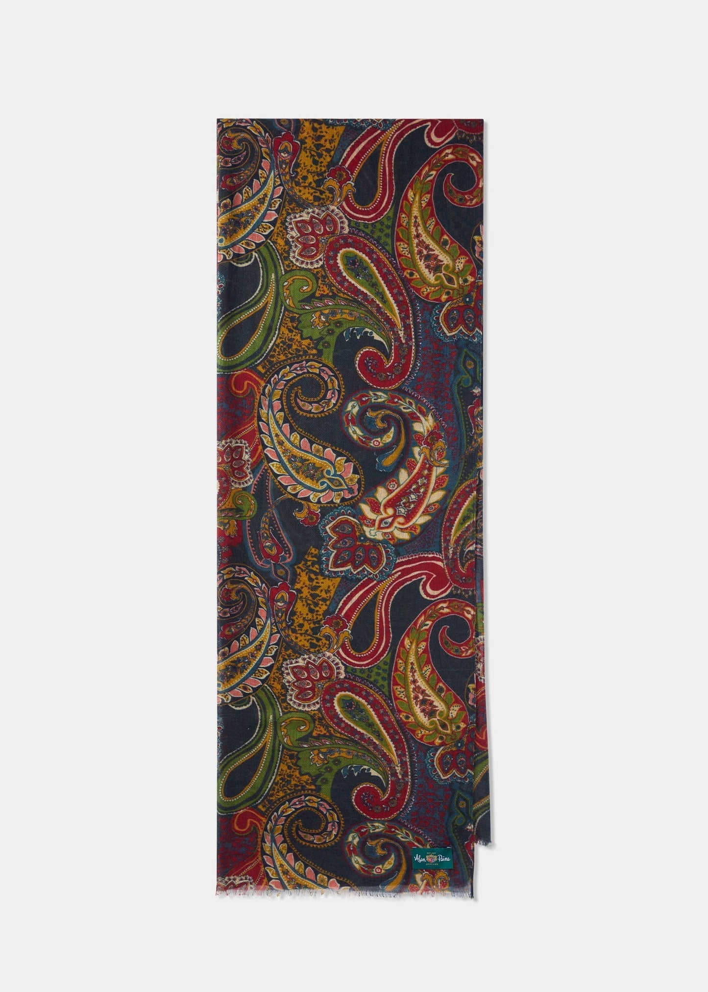 Painswick Paisley Scarf In Hunter