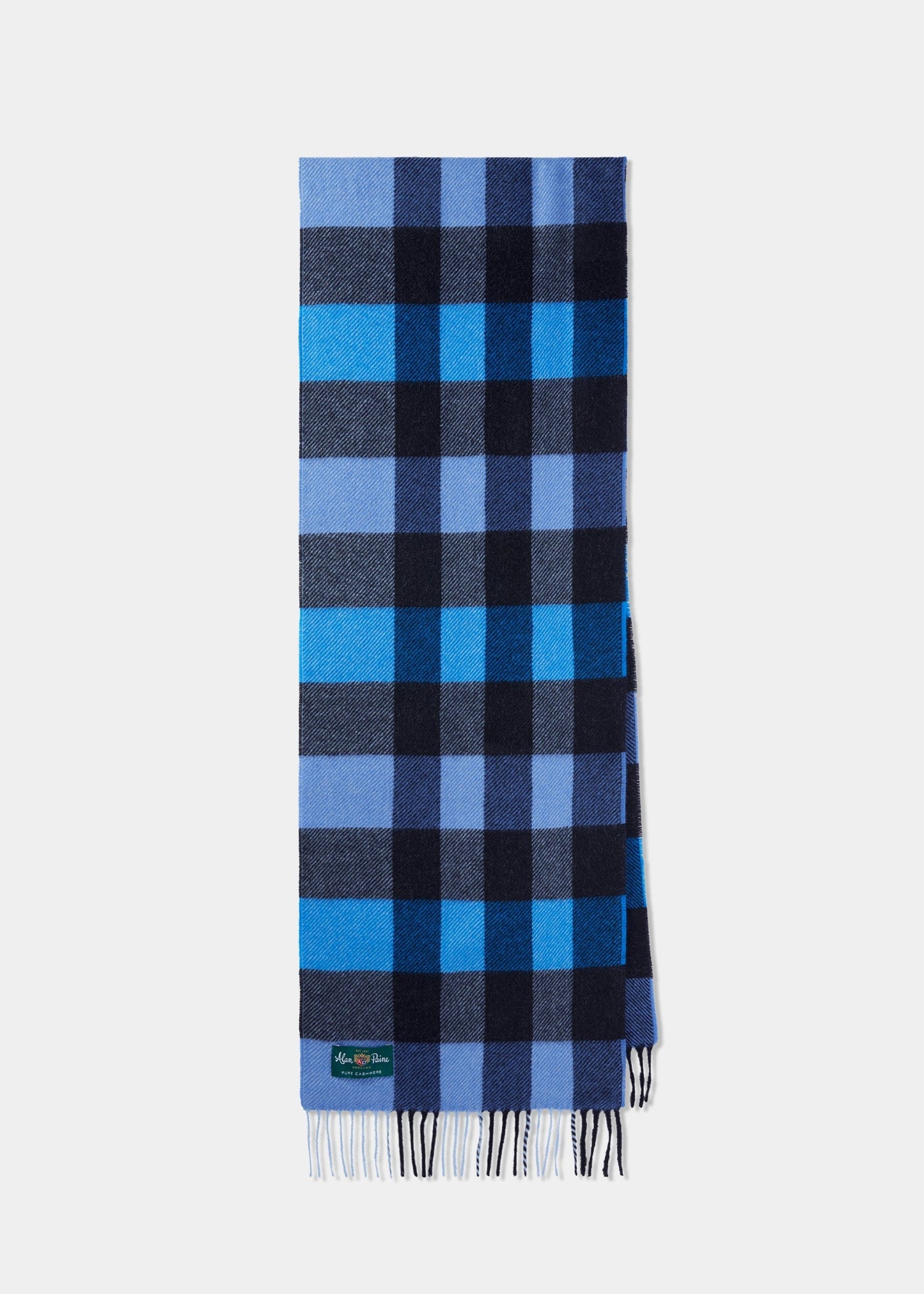 Piperhill Check Cashmere Scarf In Blue